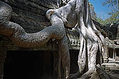 Ta Prohm temple - ruins of the central sanctuary 